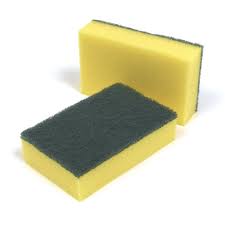 Sponge Scourers 1x10